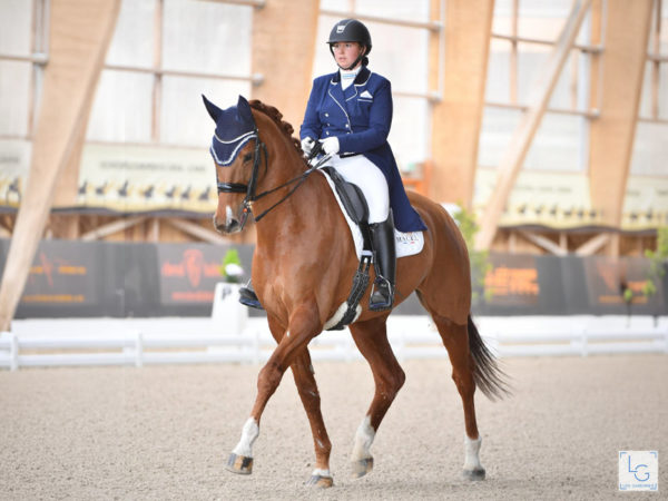 Poulinière cheval Skate Moss élevage Haras d’Everdeen Curtafond reproduction poulains dressage saut obstacle