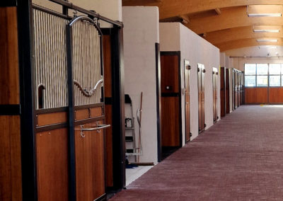 Box chevaux Haras d’Everdeen Curtafond écuries modernes confort bien-être installations équestres