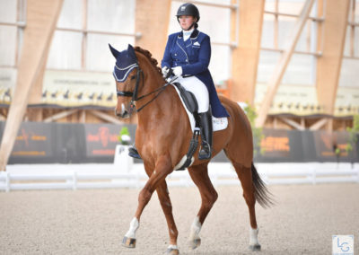 Poulinière cheval Skate Moss élevage Haras d’Everdeen Curtafond reproduction poulains dressage saut obstacle