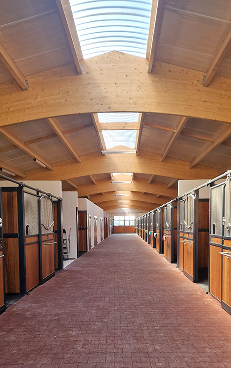Boxes chevaux Haras d’Everdeen Curtafond écuries modernes pension élevage confort installations équestres