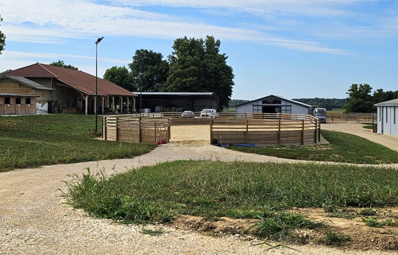 Rond Havrincourt Haras d’Everdeen Curtafond entraînement chevaux dressage saut obstacle