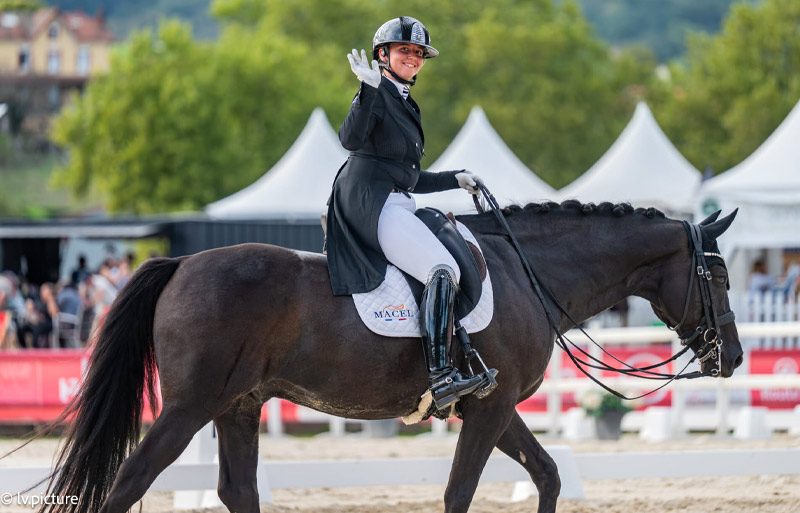 Prestations de pension et de valorisation des chevaux au Haras d’Everdeen