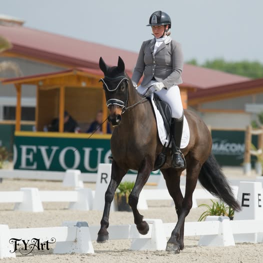 actualite le haras everdeen furstina cg